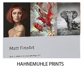 Hahnemuhle Fine Art Print