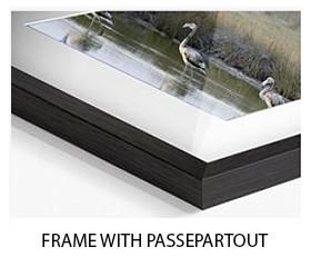 Frame with passepartout