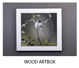 Wood Artbox