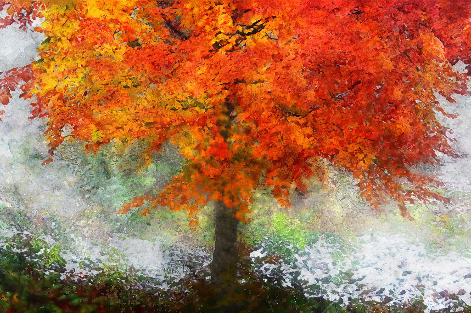 From autumn to winter - K.Uğur Varlı