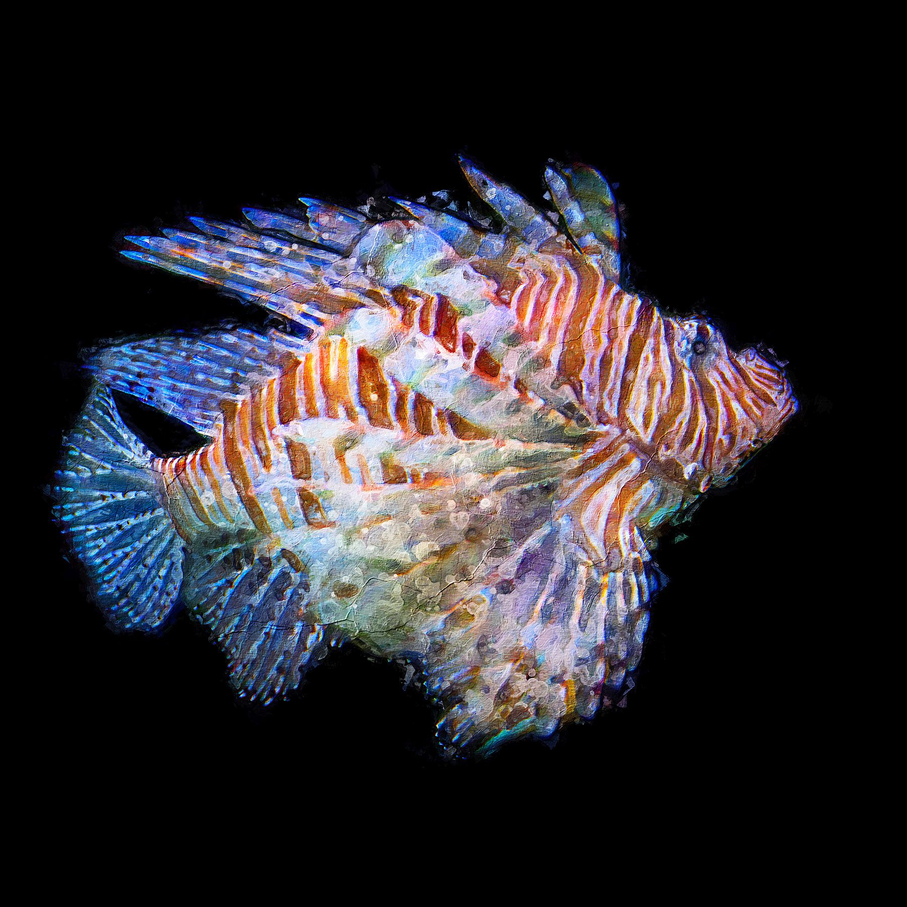 Lion Fish - K.Uğur Varlı