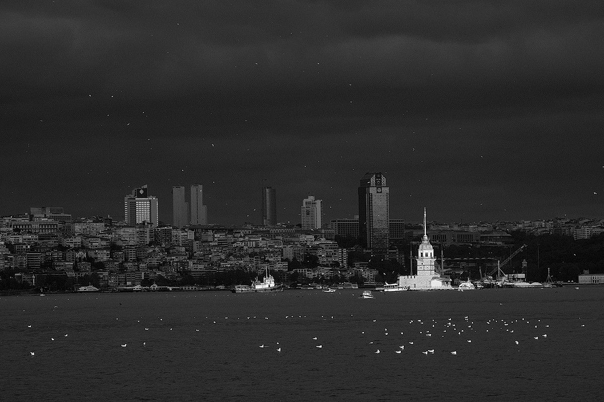 Maiden's Tower and Seagulls - K.Uğur Varlı